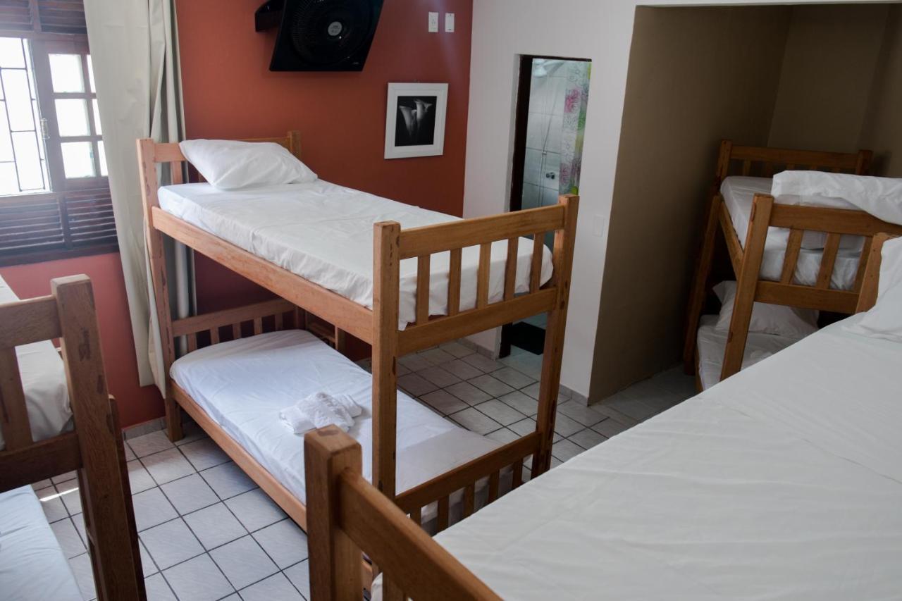 Bunk Bed Mixed Dormitory Room,726579571:JPEG